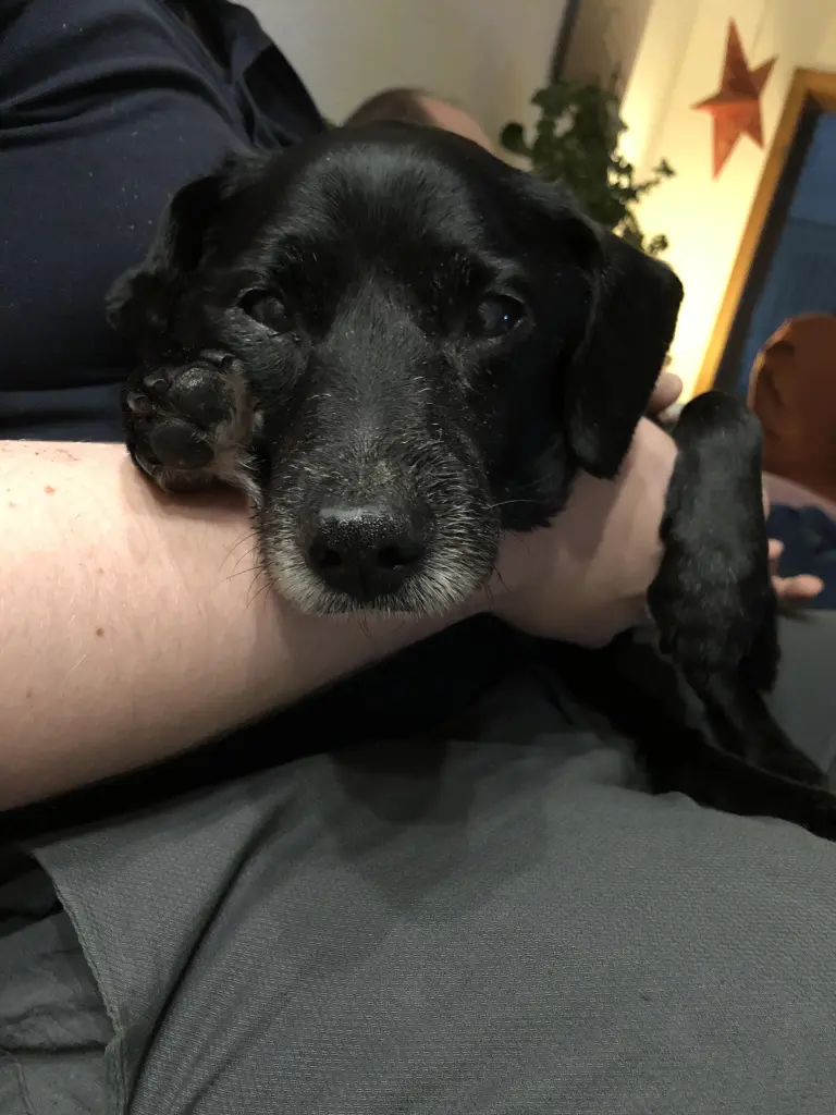 Andachtsbild von Jessica