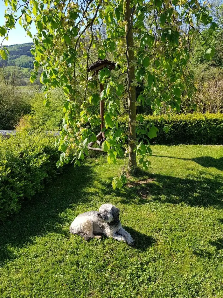 Condolence image of Jutta
