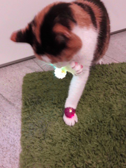 Andachtsbild von Afra Heinz