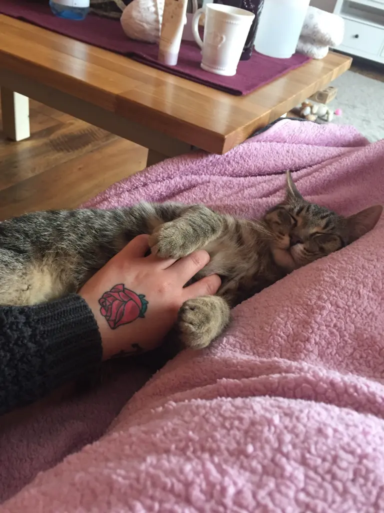 Image from Floki