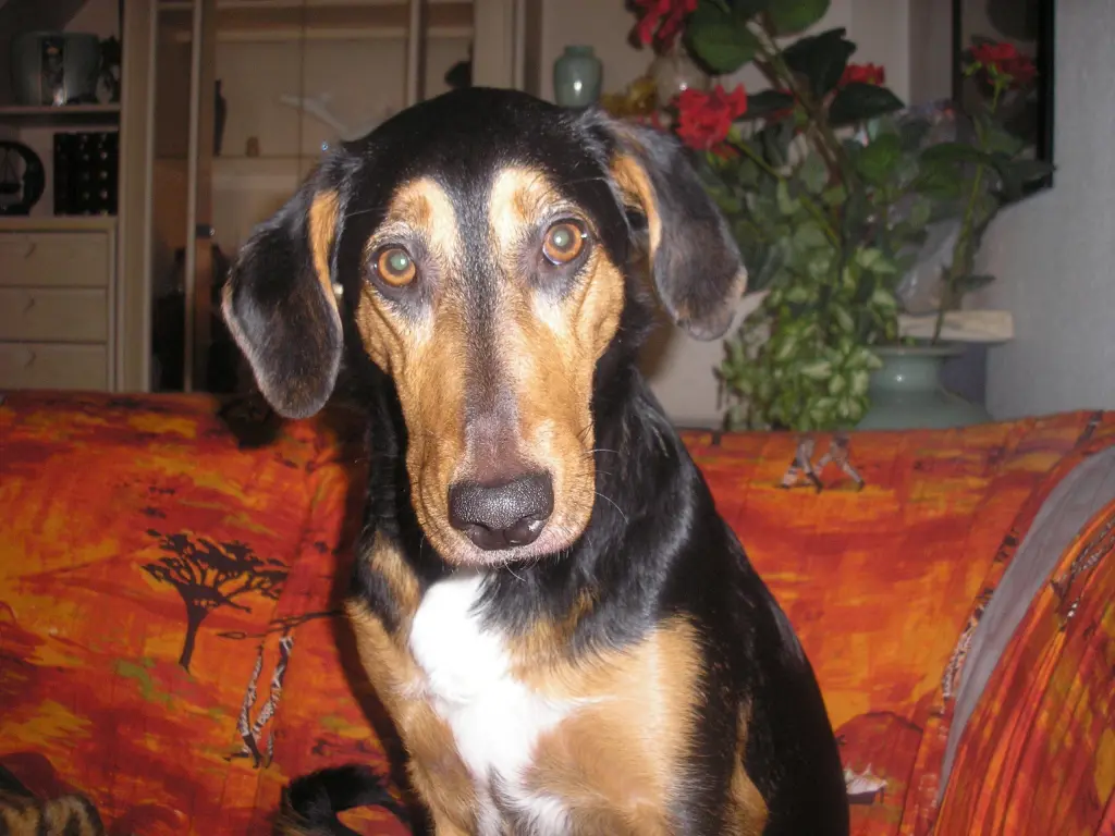 Image from Athina