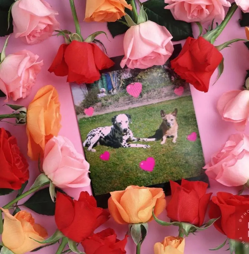 Condolence image of Michaela