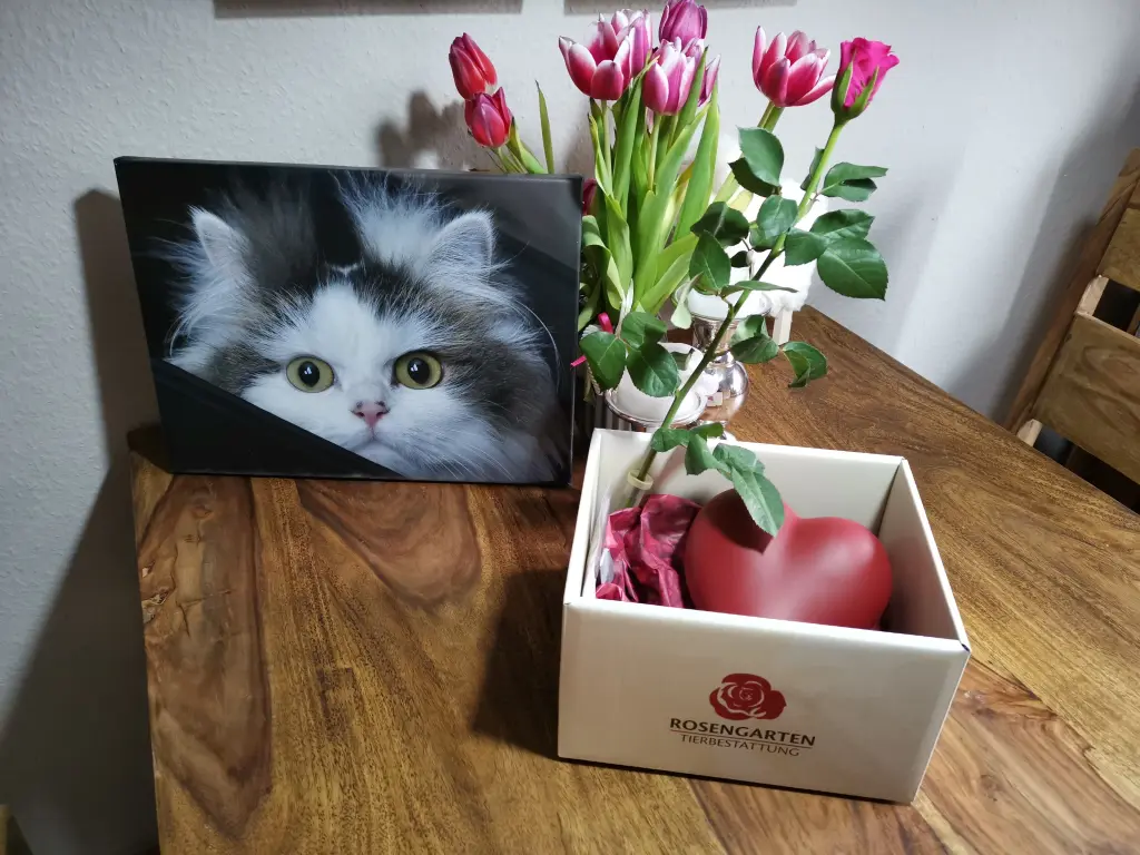 Image from Finchen
