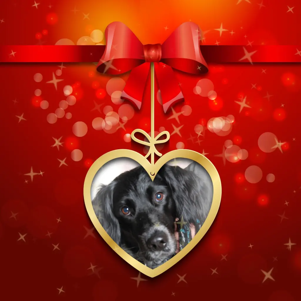 Condolence image of Liebe Zenia❤️