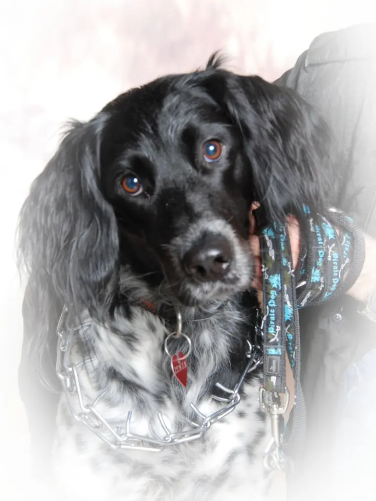 Condolence image of Marita