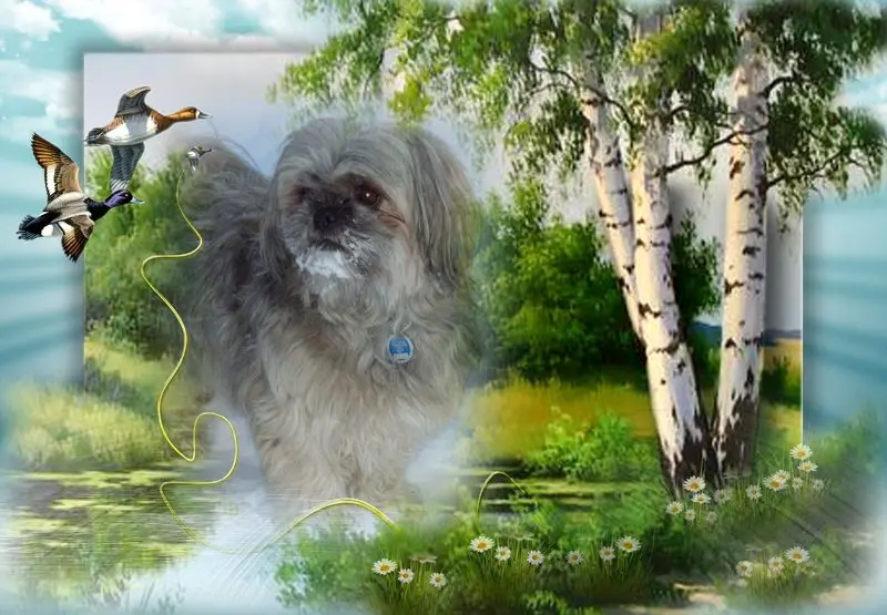 Andachtsbild von Kathrin mit Susi im Herzen