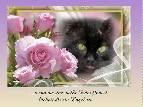 Condolence image of Carmen