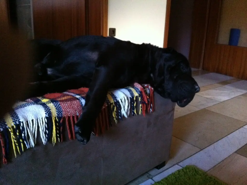 Condolence image of Deine Mama
