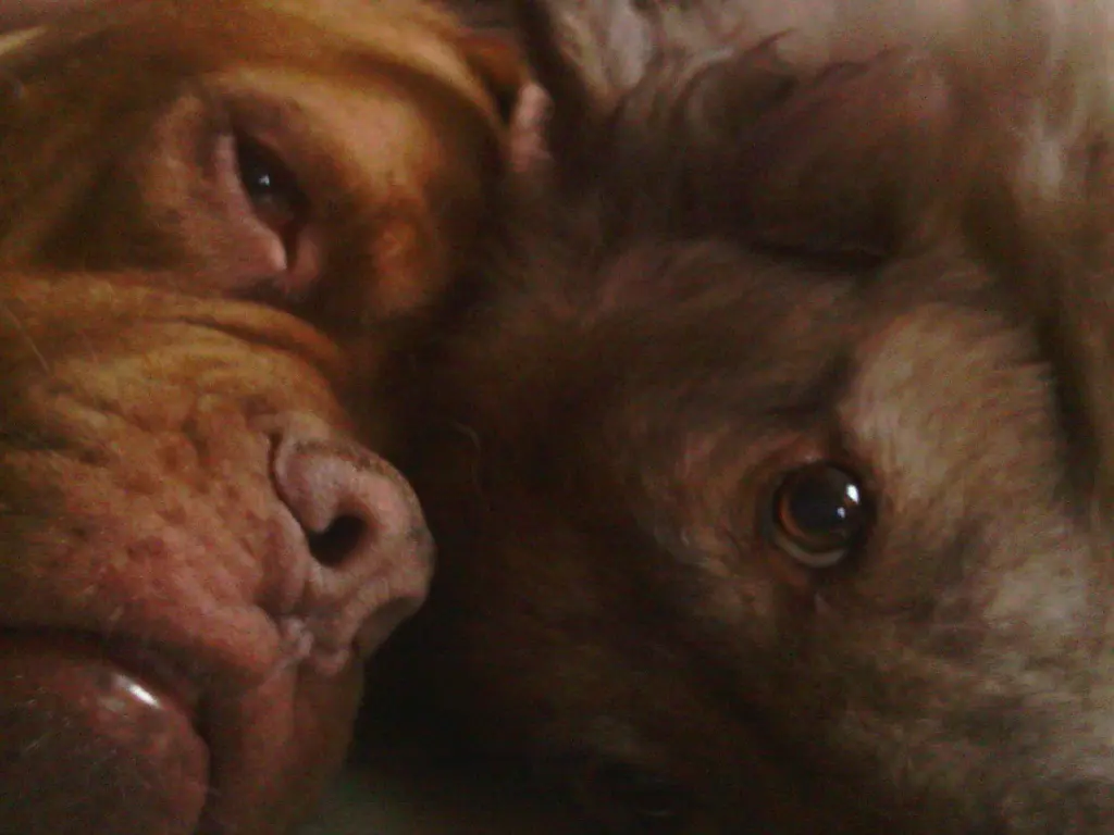 Andachtsbild von Nadine