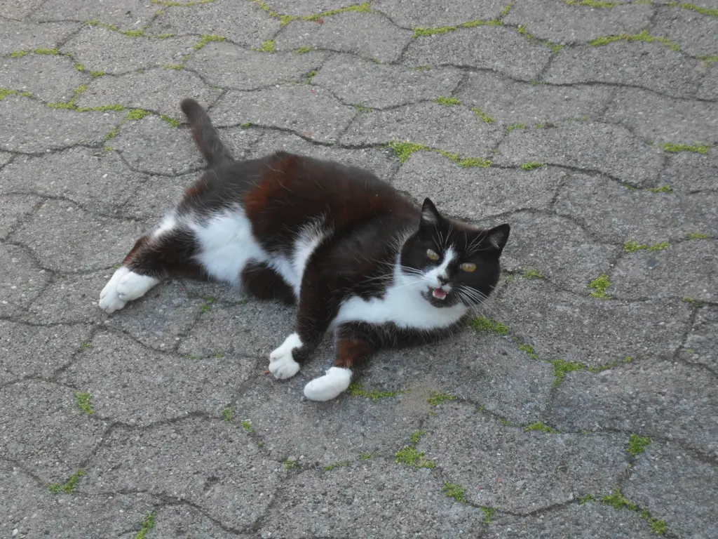 Condolence image of Melanie