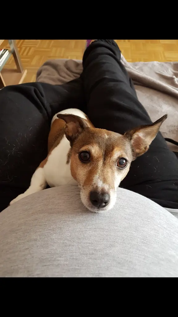 Image from Mucky
