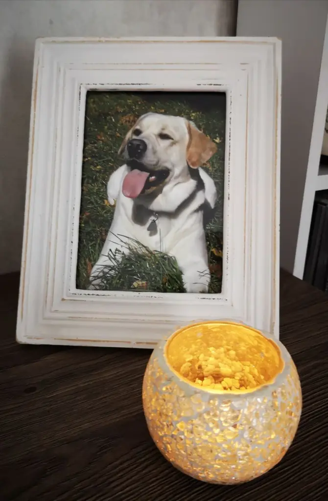 Condolence image of Ramona 
