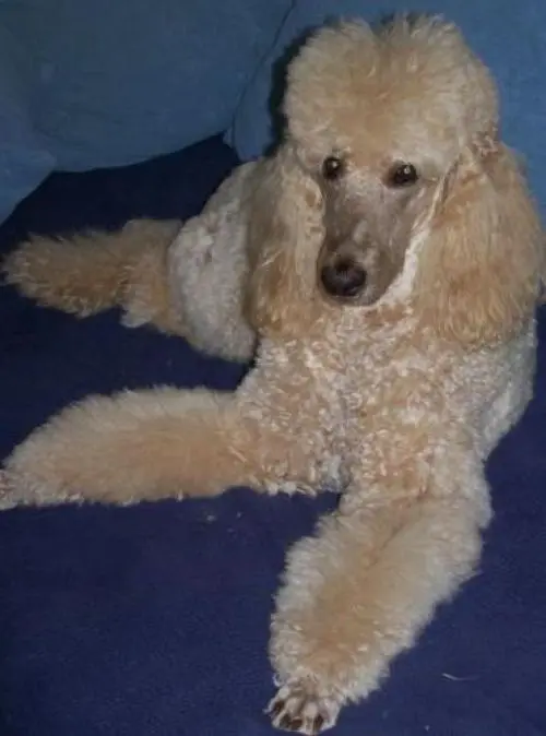 Image from Cash