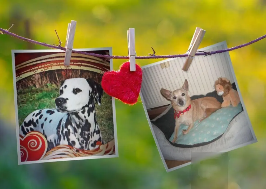 Andachtsbild von Michaela 