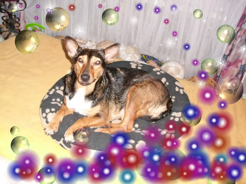 Bild von Lila