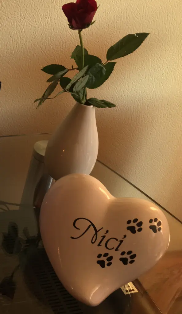 Image from Nici