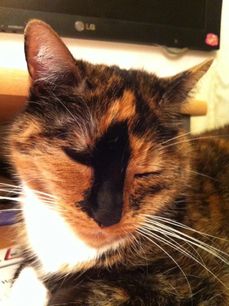 Condolence image of Mama