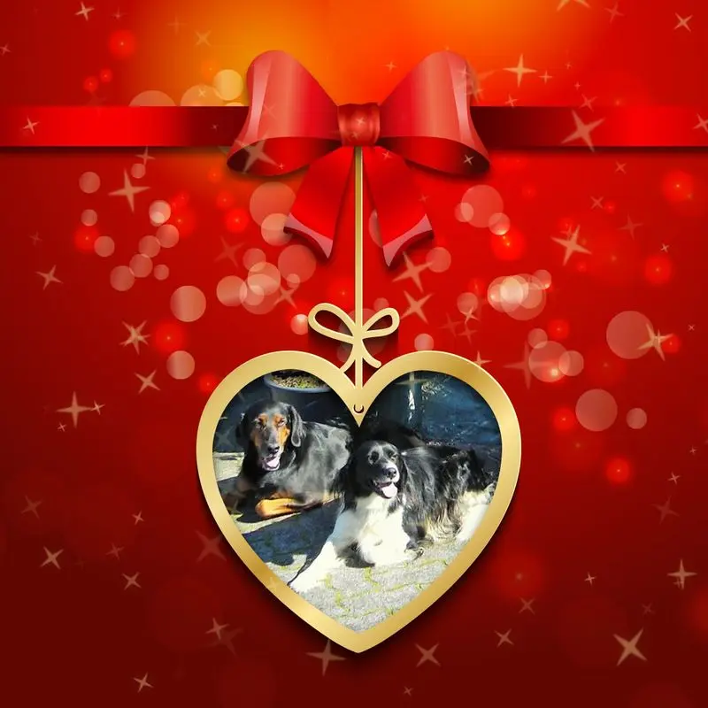 Condolence image of Brigitte mit Nelly, Benny und Axel im Herzen
