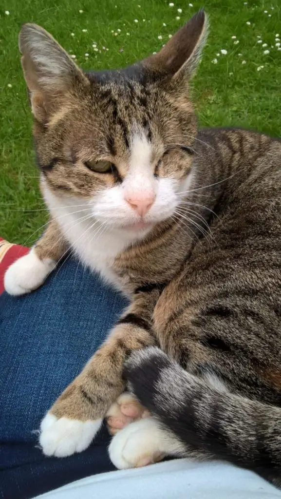 Condolence image of Elke