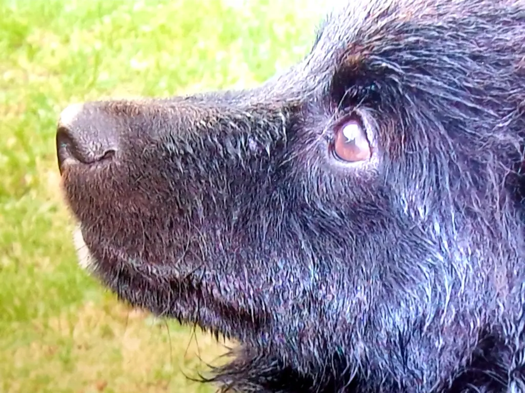 Condolence image of Elke mit Wolle tief im Herzen