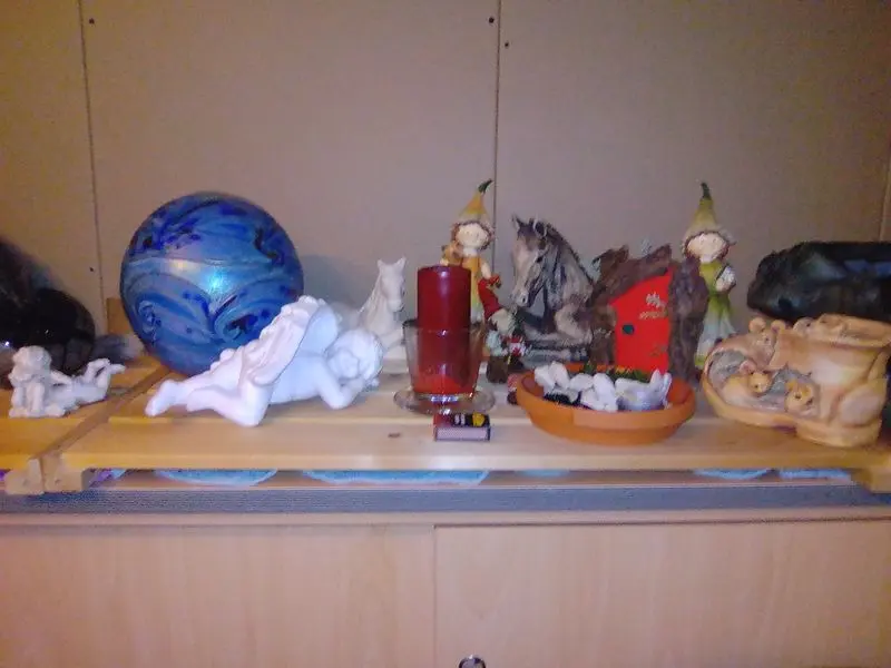 Bild von Rusty´s Familie: Gismo, Anna, Simon, Keks, Lilly-Fee, Speedy-Gonzales