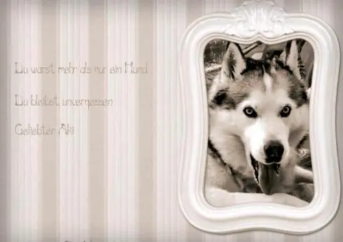 Image from Akimo