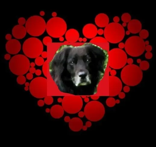 Condolence image of Birgit