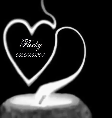 Condolence image of Birgit