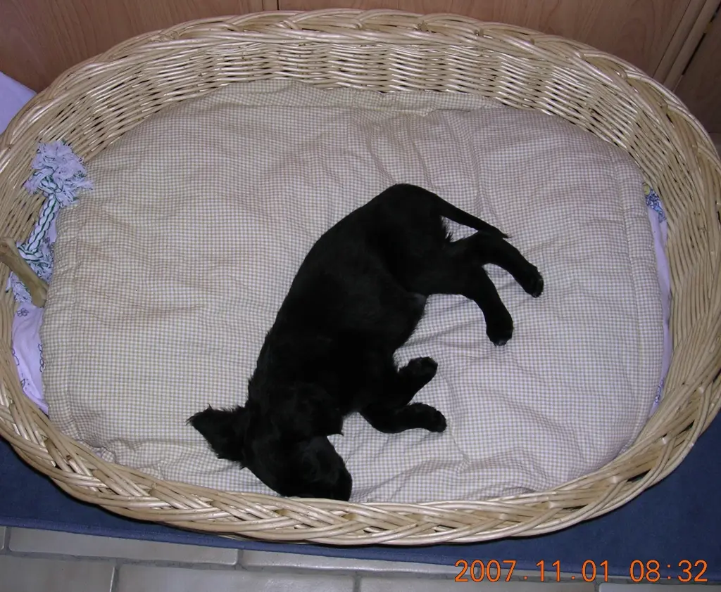 Condolence image of Birgit