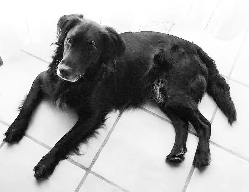 Condolence image of Birgit