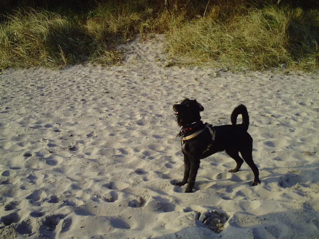 Condolence image of Birgit
