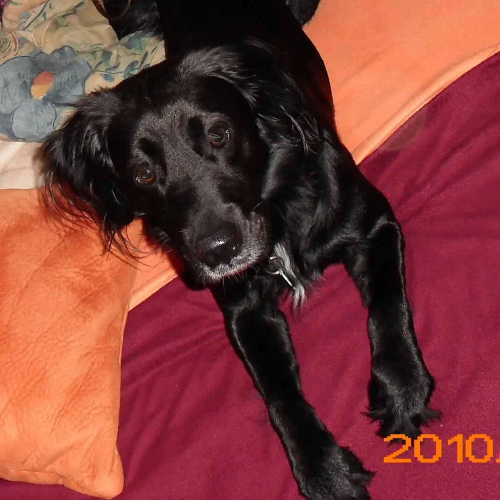 Condolence image of Birgit