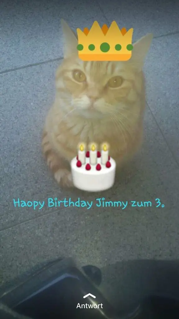 Image from Jimmy