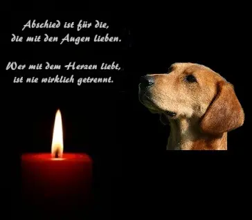 Condolence image of Marlies mit Pietsch im Herzen