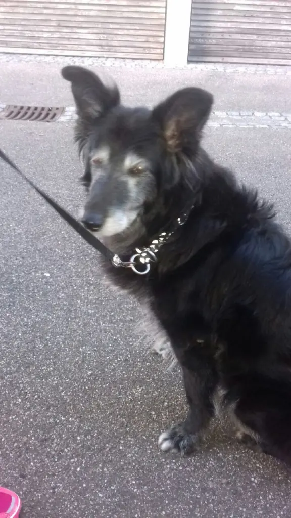 Image from Inka
