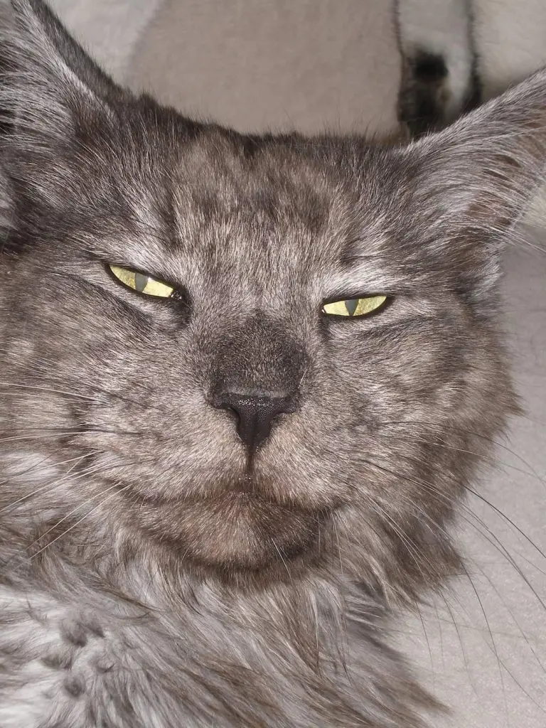 Condolence image of Silvia