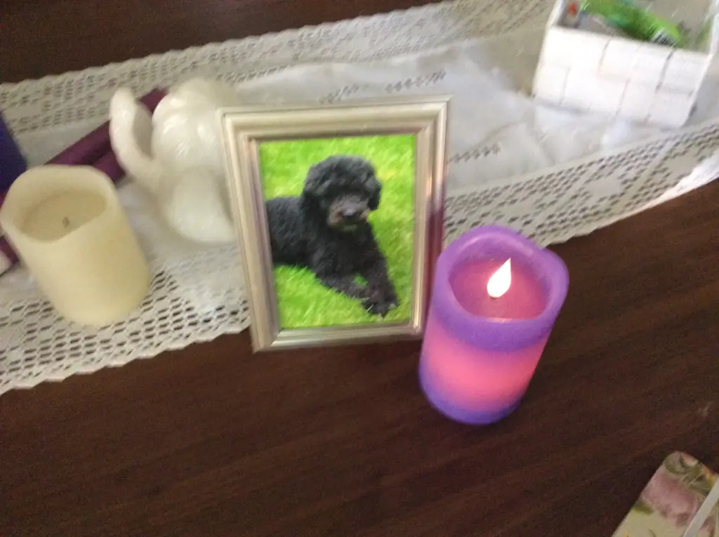 Condolence image of Heidi 