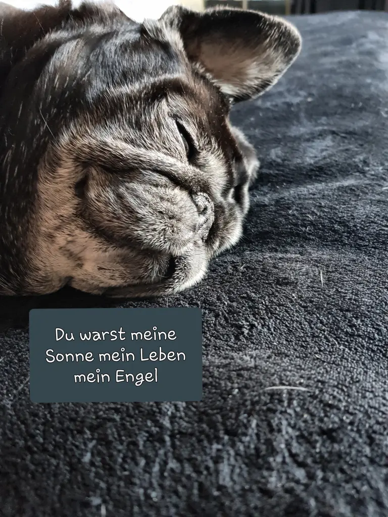 Image from LOULOU
