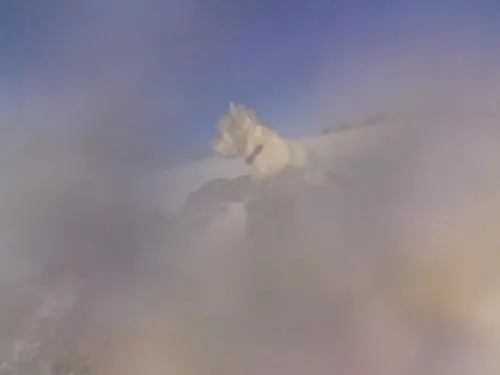 Image from Ventoux
