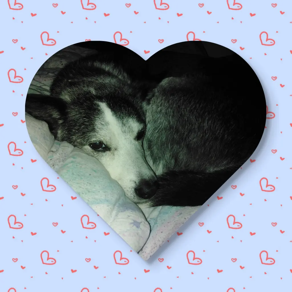 Image from Lucky