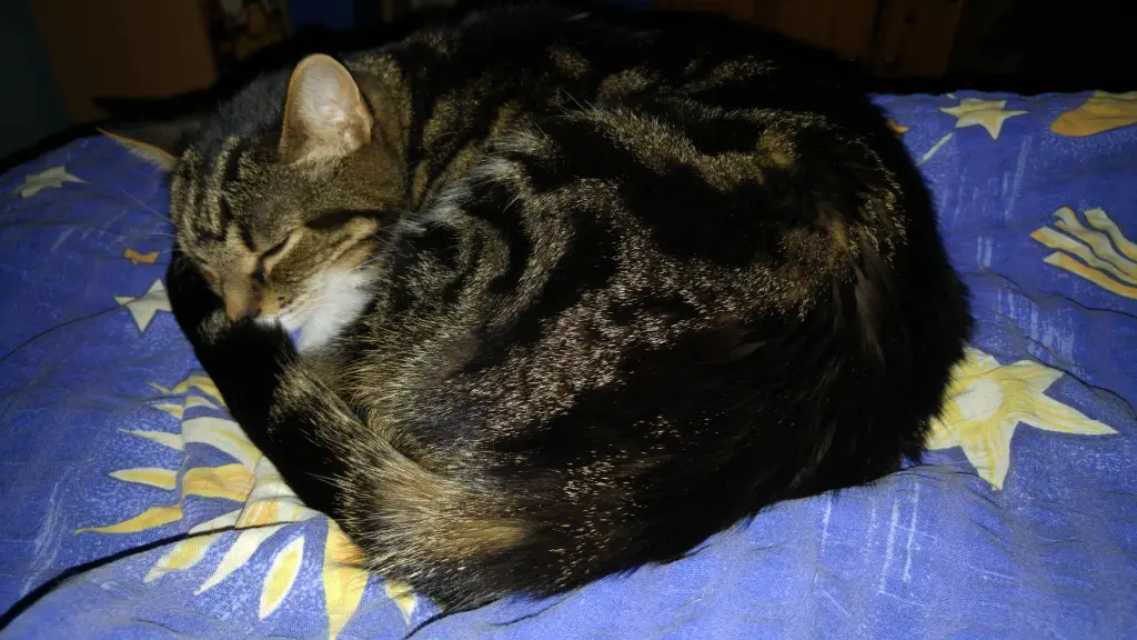 Image from Lilly