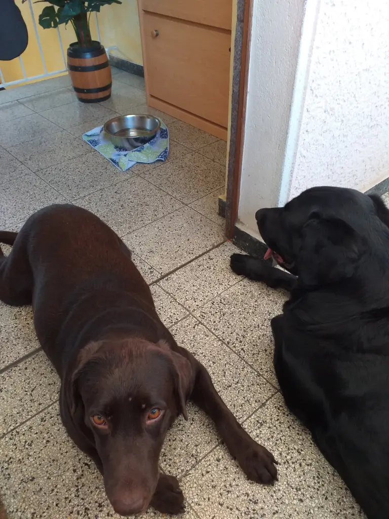 Condolence image of Aaron und Tina