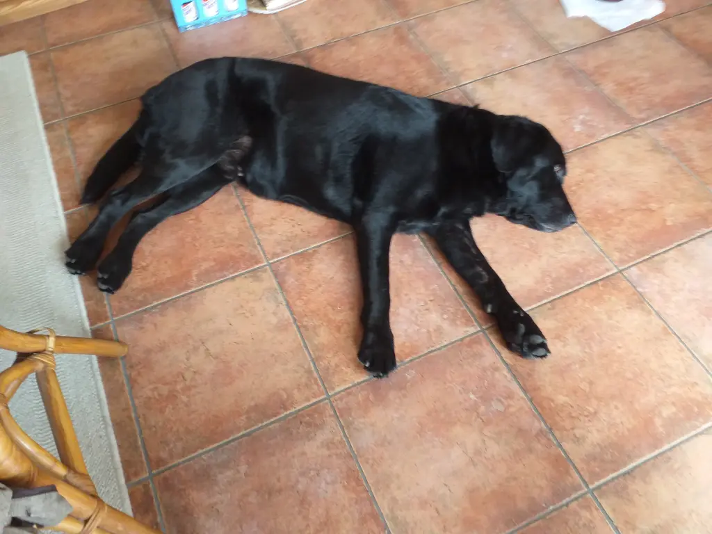 Condolence image of Aaron