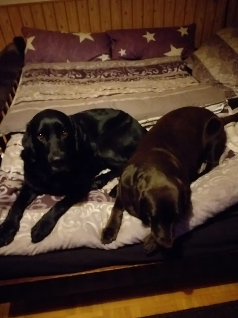 Condolence image of Aaron und Tina 