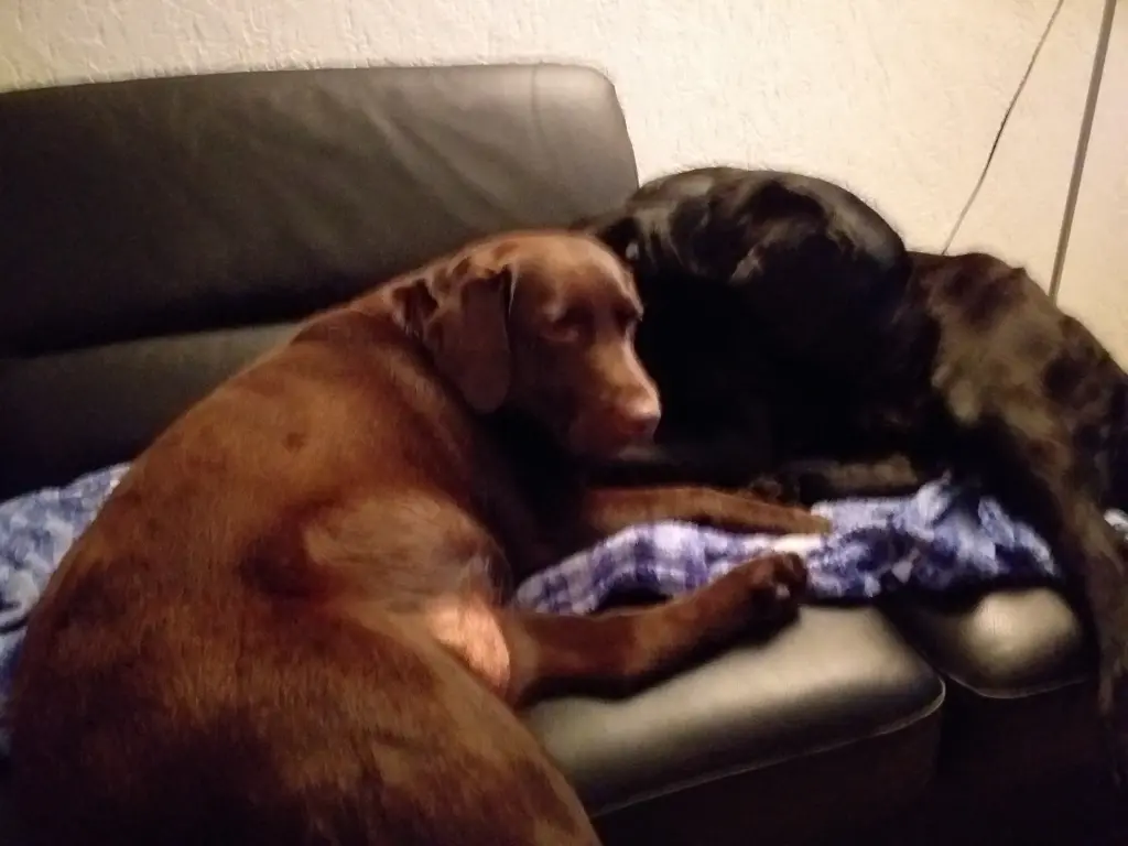 Condolence image of Aaron und Tina 