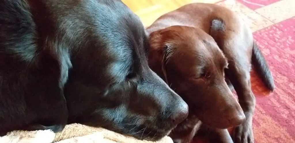 Condolence image of Aaron und Tina 