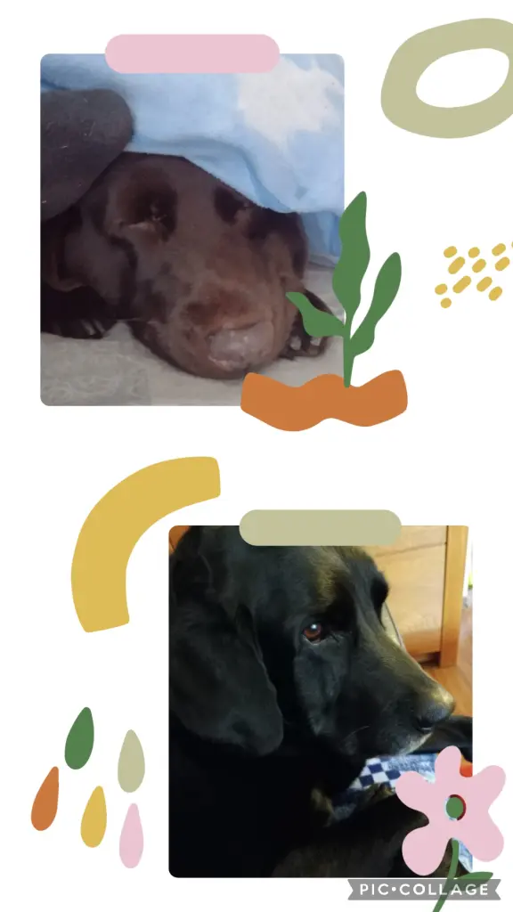 Condolence image of Aaron und Tina