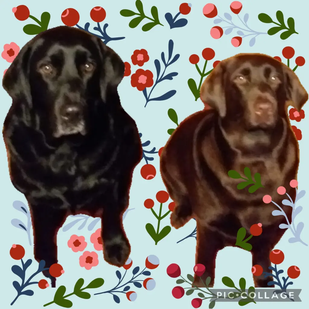 Condolence image of Aaron und Tina