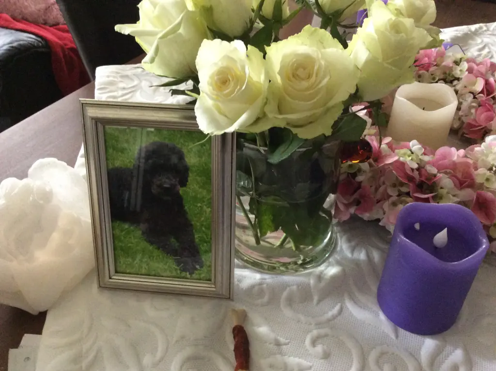 Condolence image of Heidi 