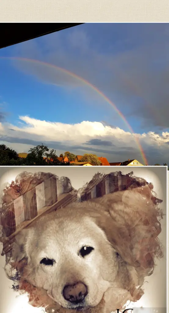 Condolence image of Sascha u.Elke mit Shila im Herzen